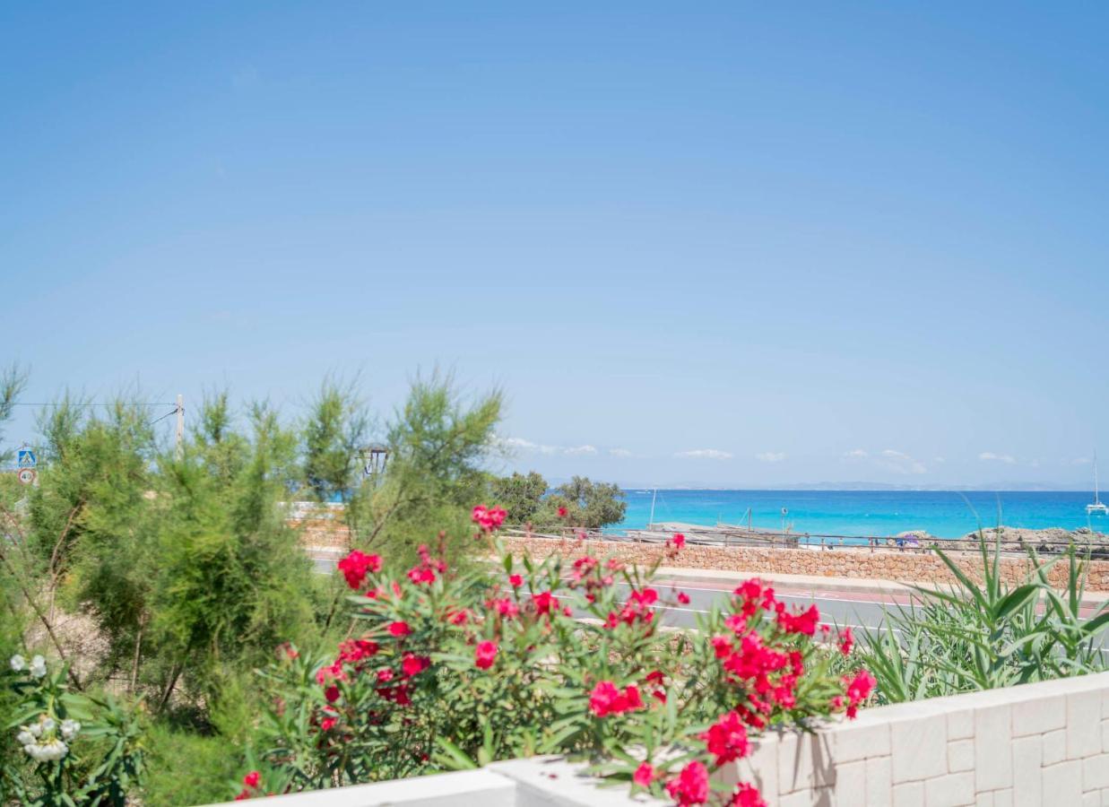 Cavall De Llevant - Formentera Break Es Calo (Formentera)