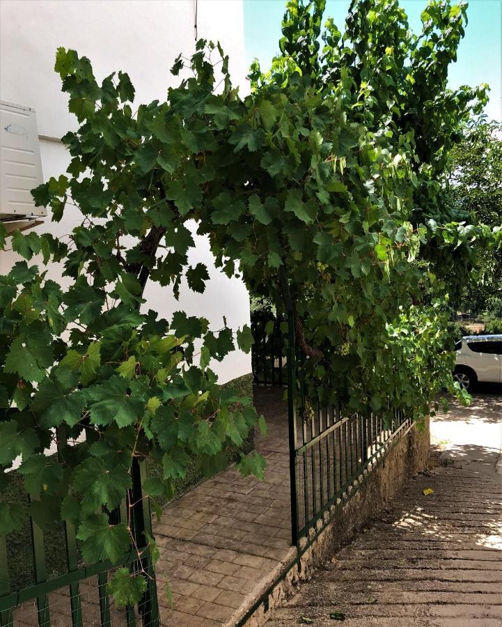 Loma De Mariangela Coto Ríos