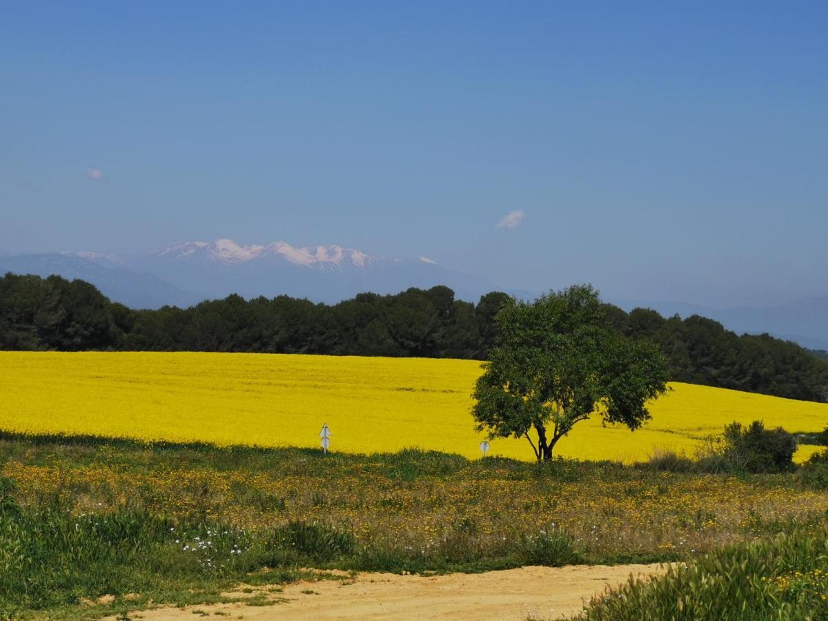 Molí Nou De Calabuig-costa Brava Agroturismo *