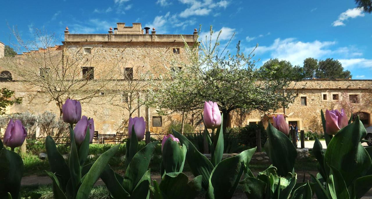 Molí Nou De Calabuig-costa Brava Agroturismo *