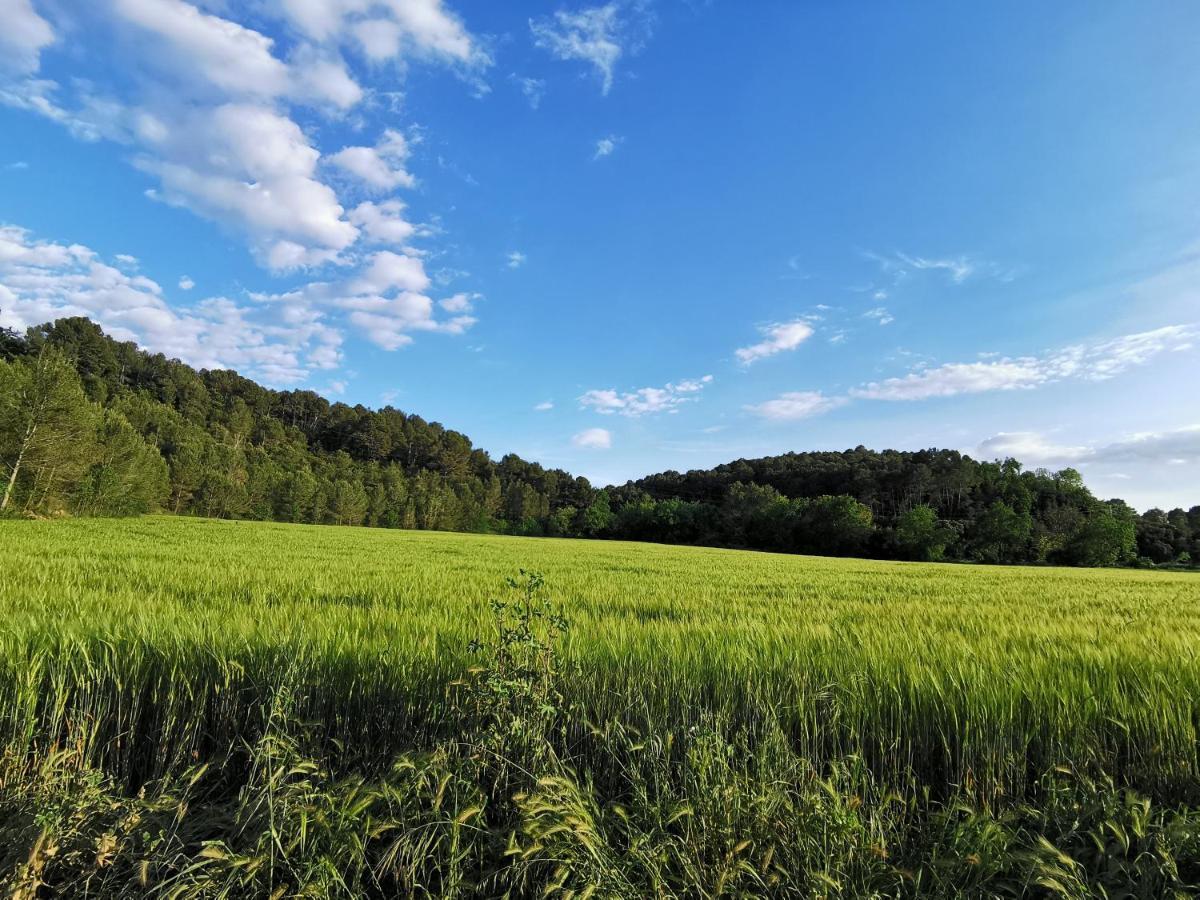 Agroturismo Molí Nou De Calabuig-costa Brava Báscara