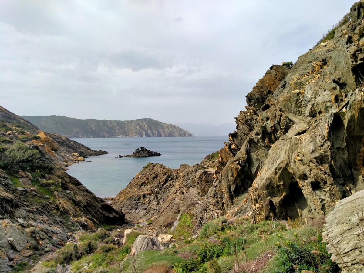 Molí Nou De Calabuig-costa Brava Agroturismo Báscara