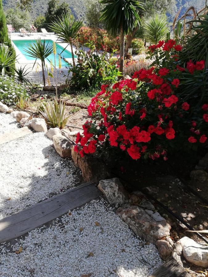 Guest house Olive Branch *