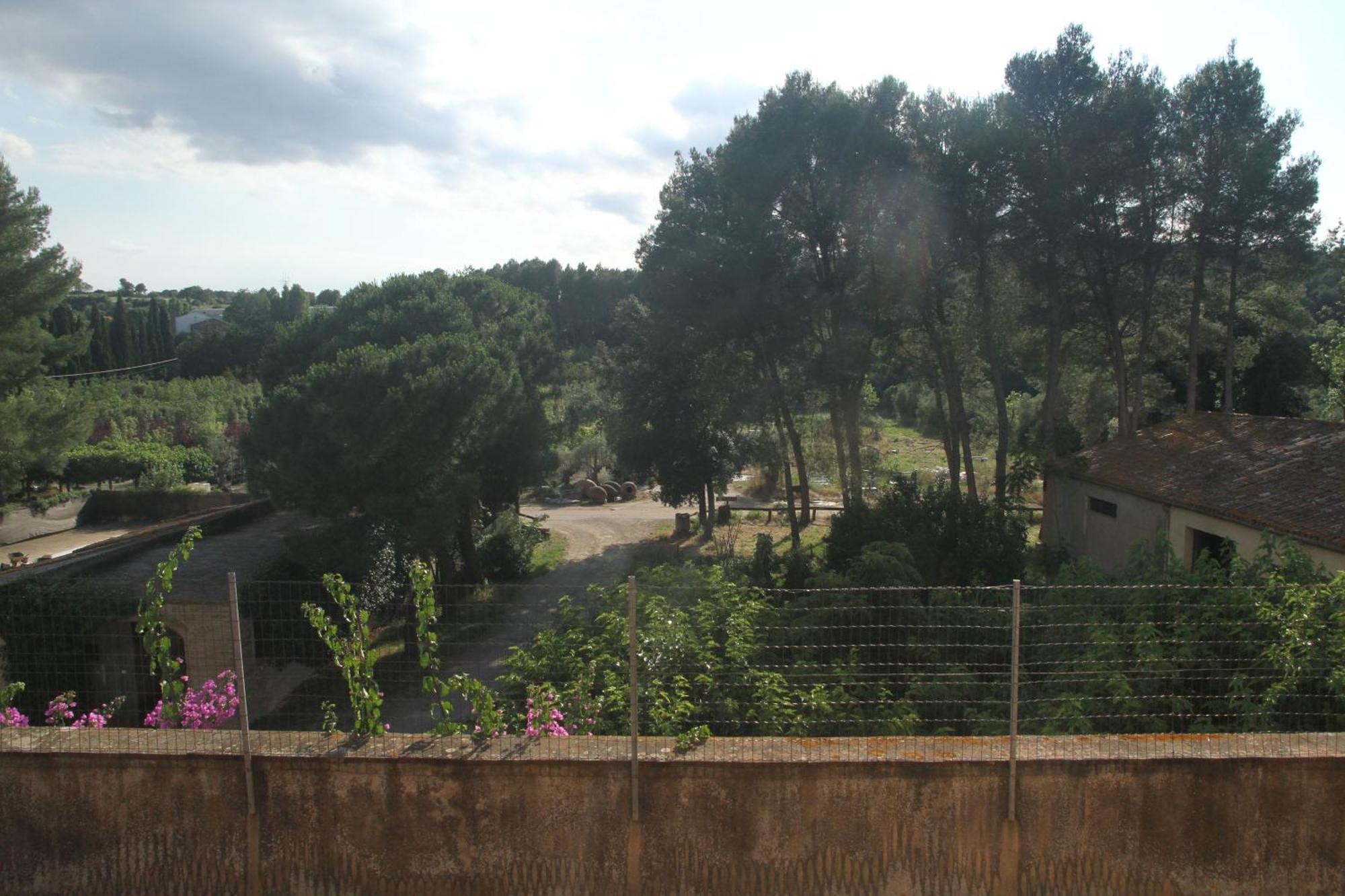 Molí Nou De Calabuig-costa Brava Agroturismo