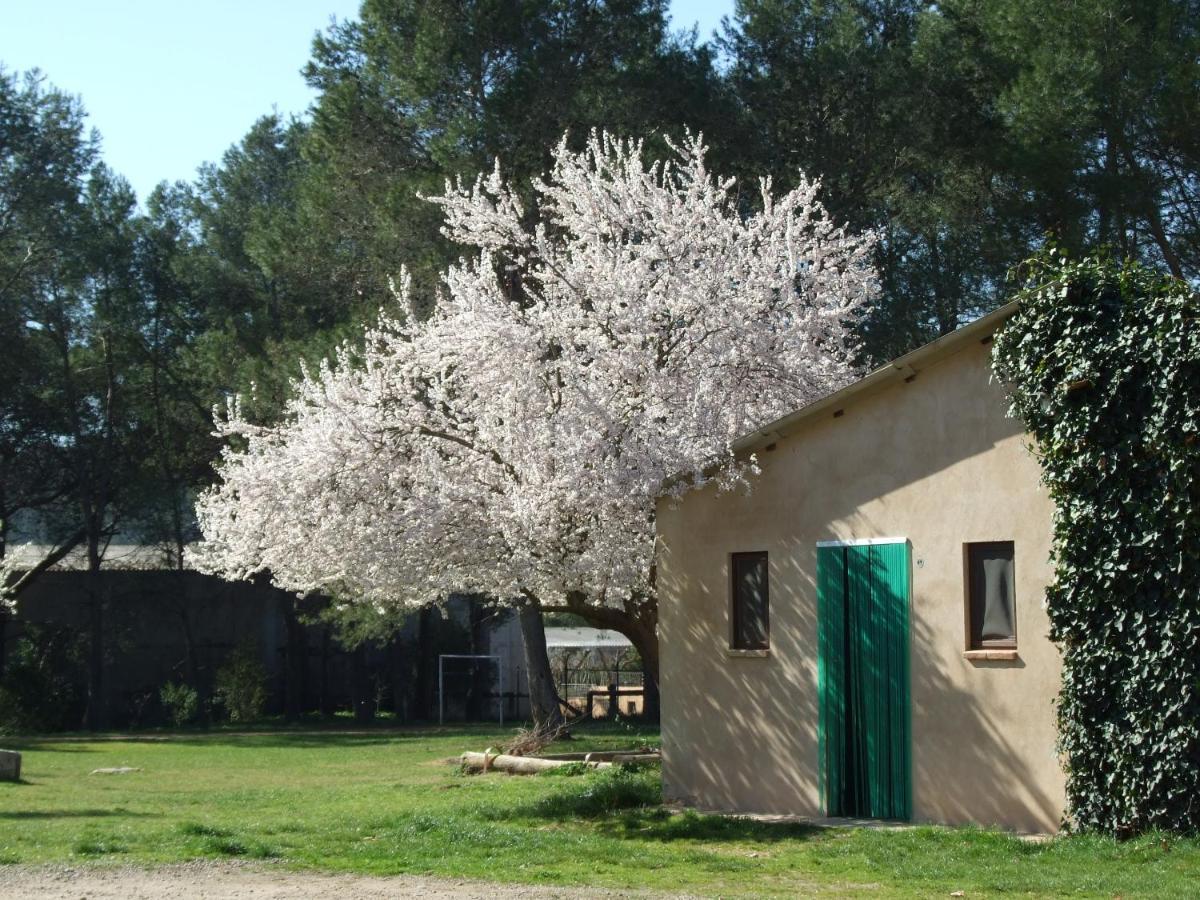 Molí Nou De Calabuig-costa Brava *
