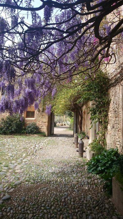 Molí Nou De Calabuig-costa Brava *