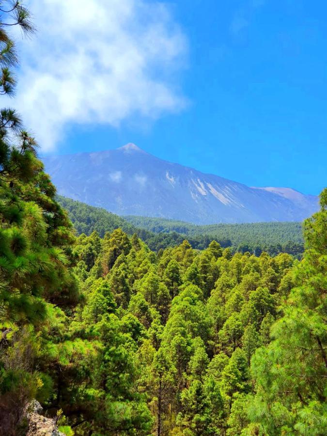 Casa rural Monte Frio De Tenerife La Guancha