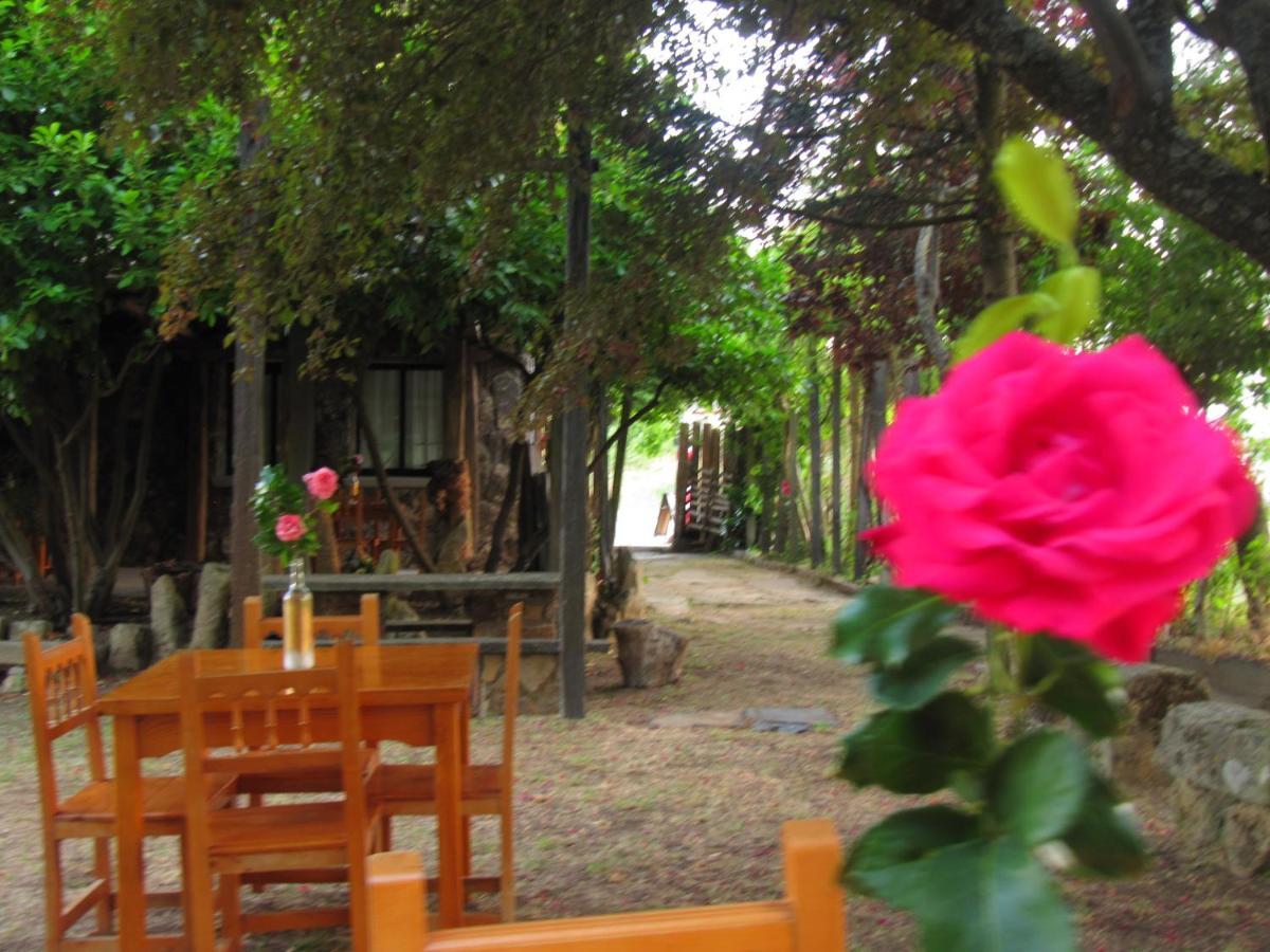Cavenes Del Cabaco El Cabaco