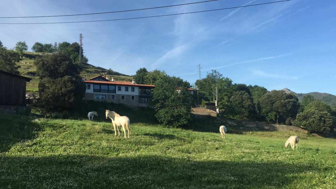 Picabel * Onís