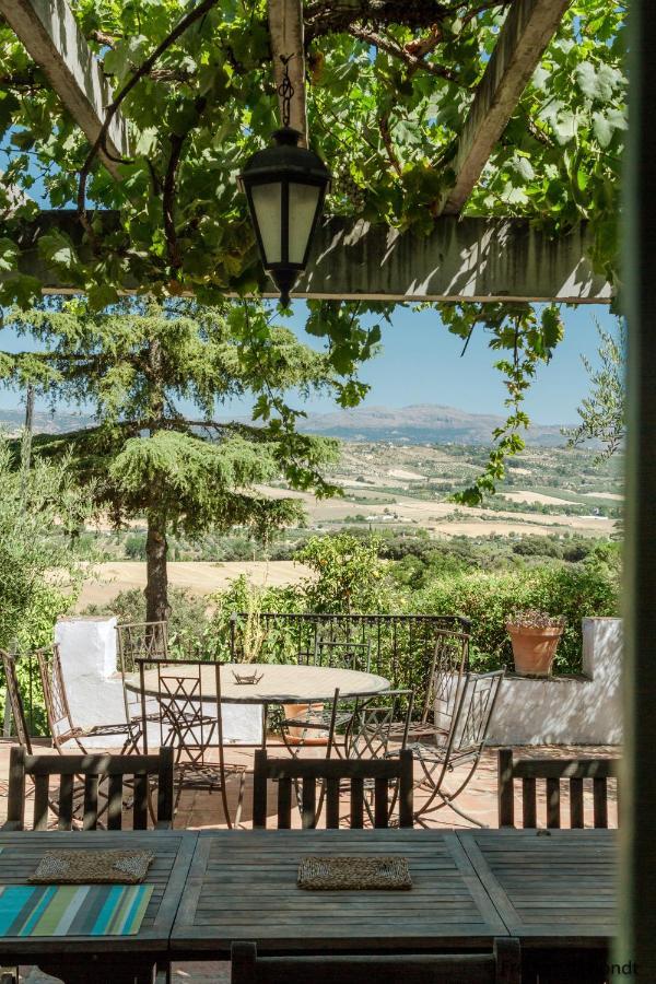 The White Olive Villa