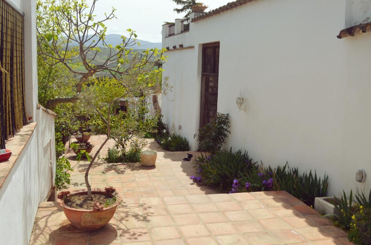 The White Olive Ronda