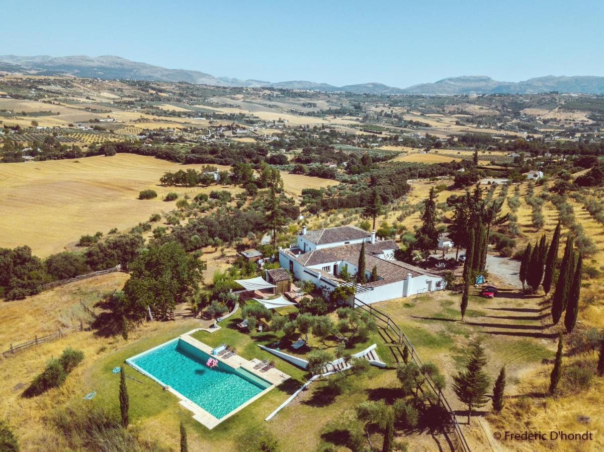 The White Olive Villa *