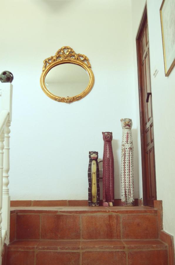 The White Olive Villa