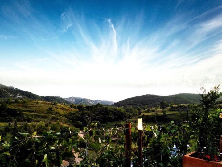 La Tinensa La Pobla de Benifassà (Puebla de Benifasar)