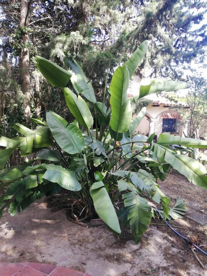 Casa De Huespedes Bed and breakfast *