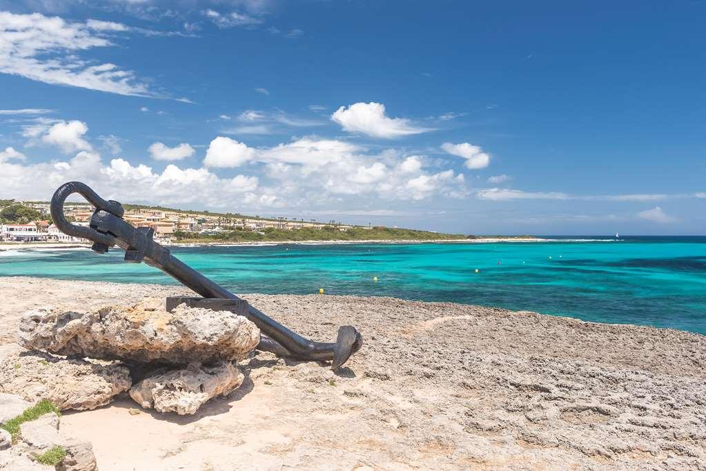 Occidental Menorca Hotel Punta Prima (Menorca)