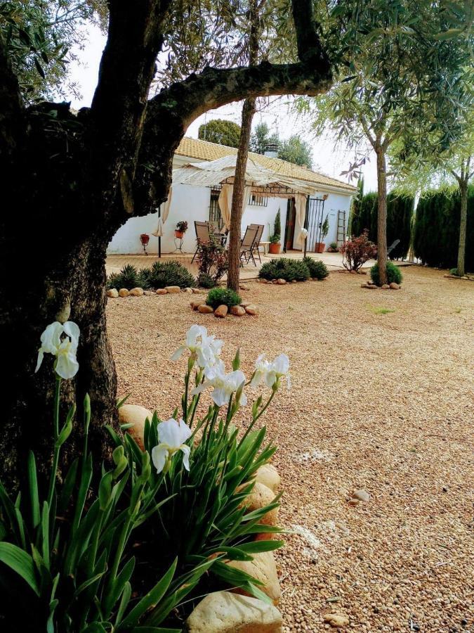 La Casa Del Abuelo Jose Country house Marmolejo