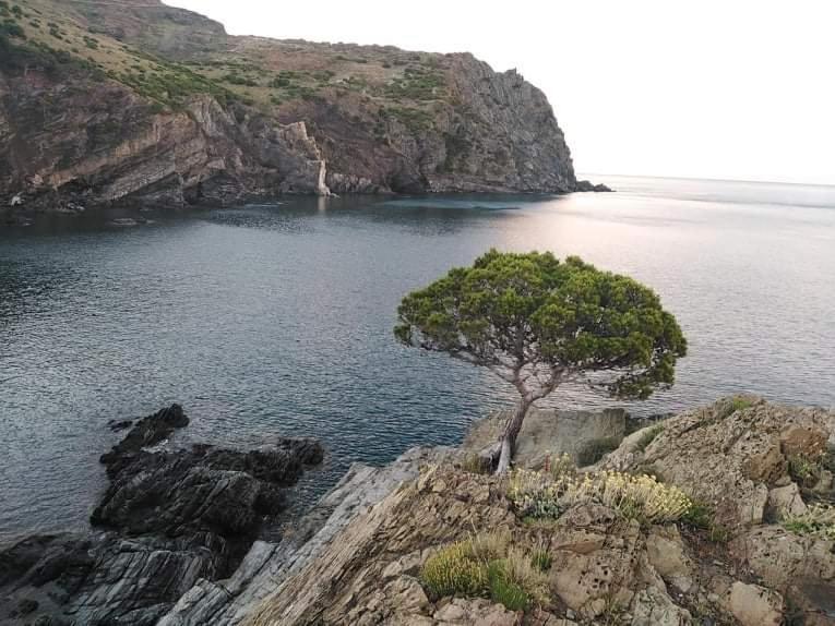 Sant Jordi Santiago Apartamento Tossa de Mar