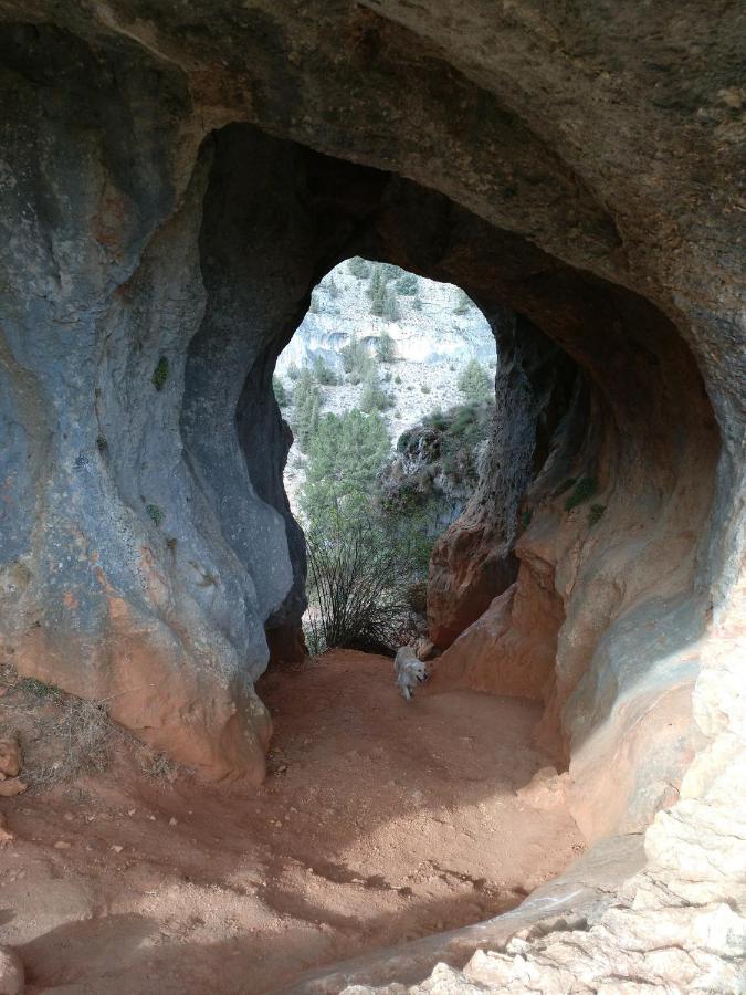 El Nido Del Mirlo