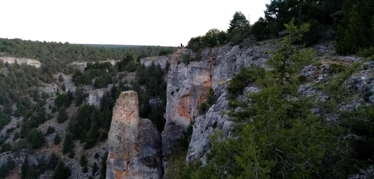 El Nido Del Mirlo Casarejos