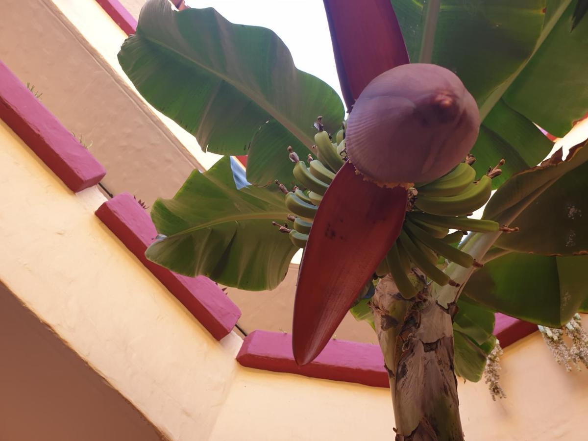 Marino Tenerife Aparthotel 4*