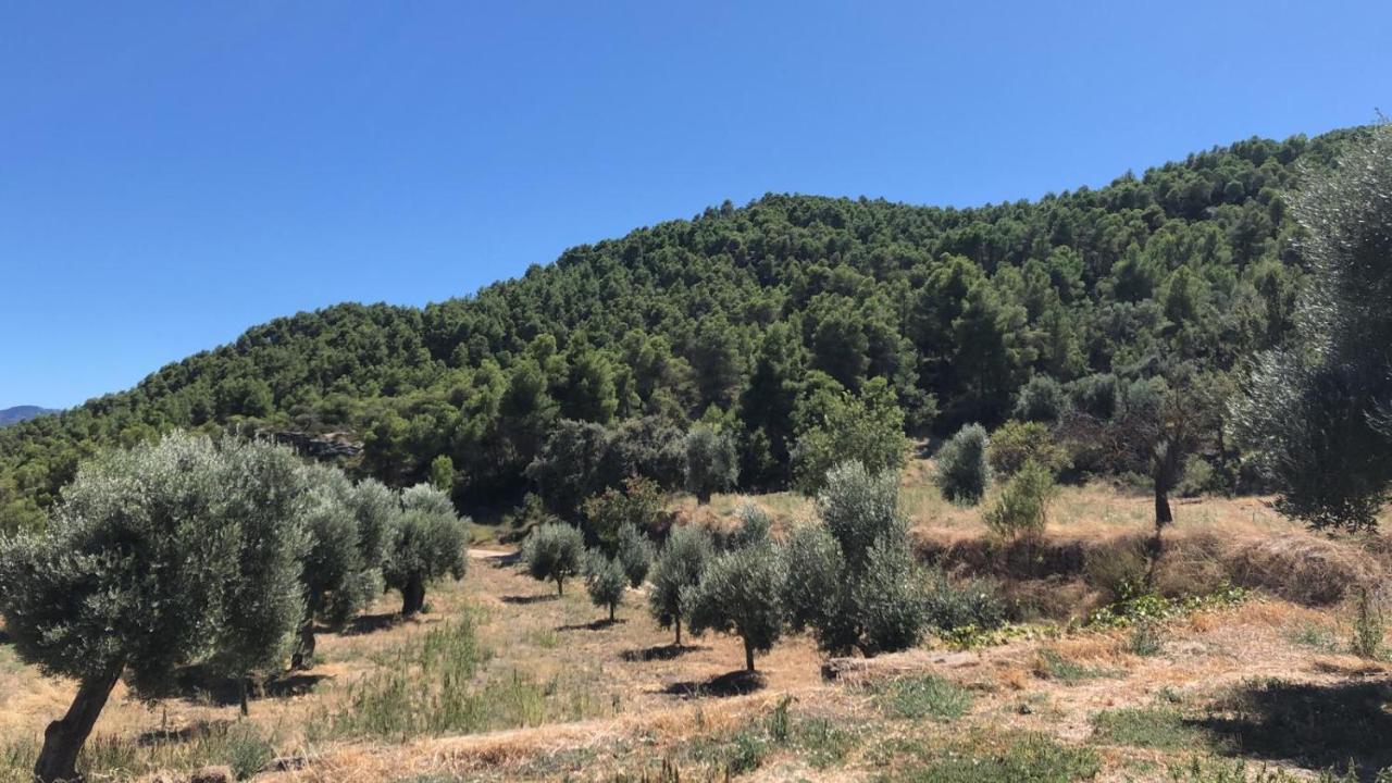 Casa rural Masia Mas De La Creu