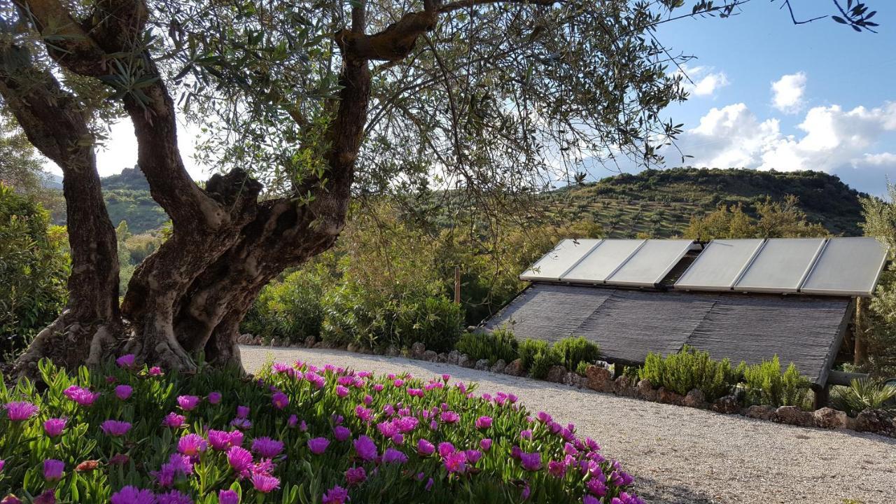 Bed and breakfast Casa Olea