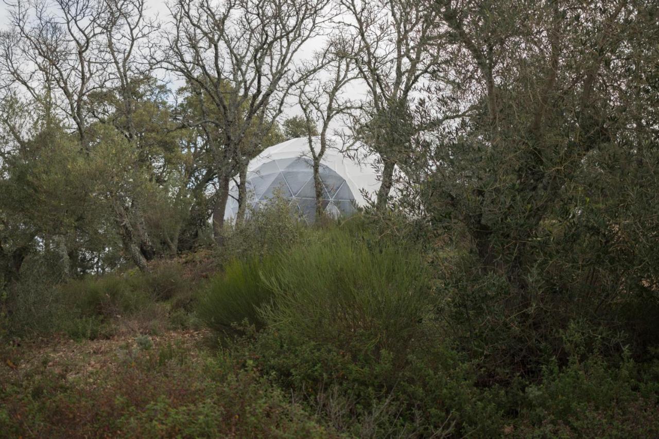 Rural Camino Beturia Country house *