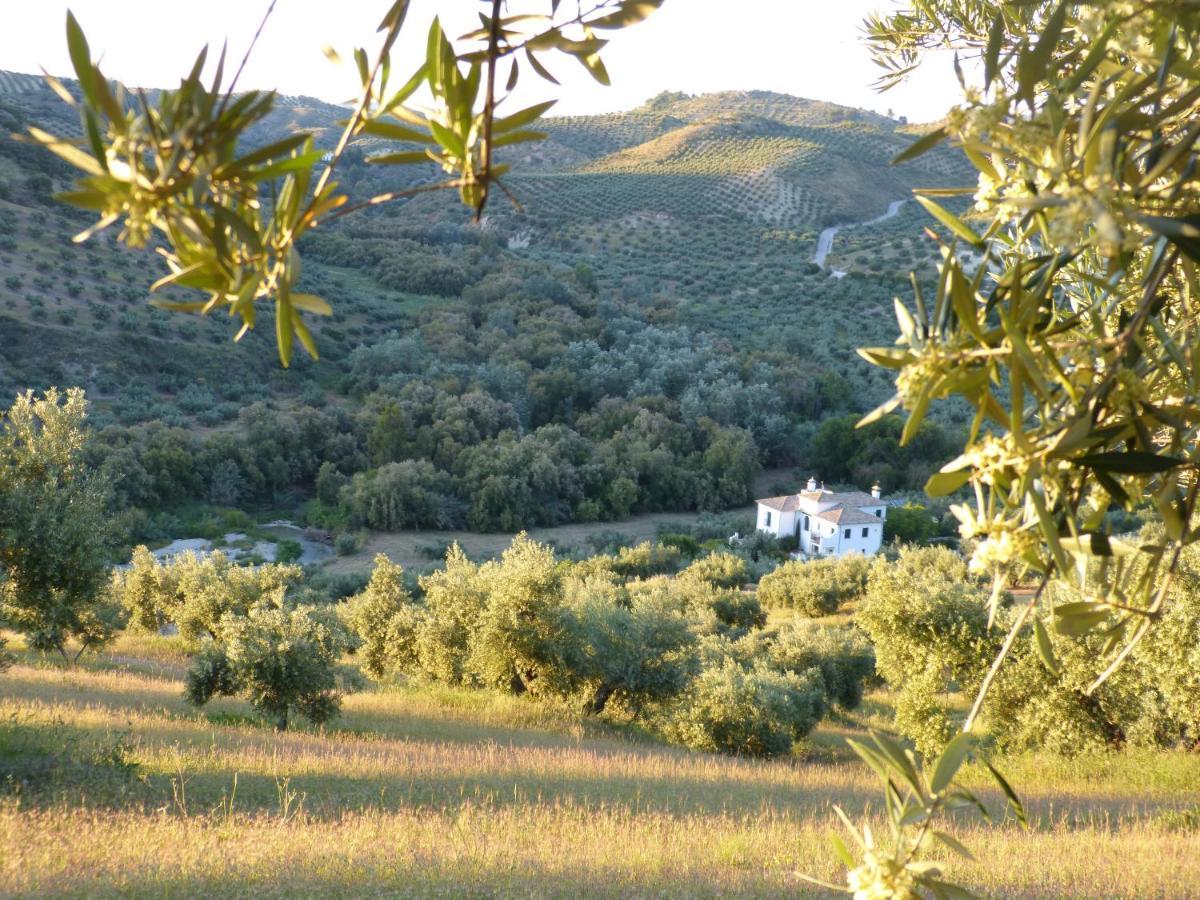 Casa Olea Bed and breakfast Priego de Córdoba