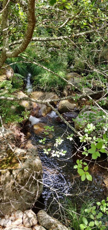 Ribera Del Corneja