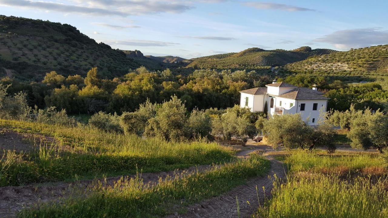 Casa Olea Bed and breakfast