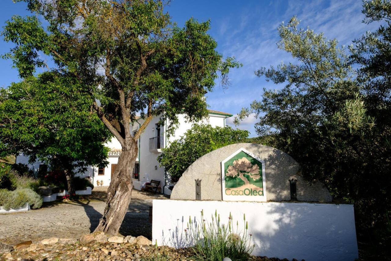 Casa Olea Priego de Córdoba