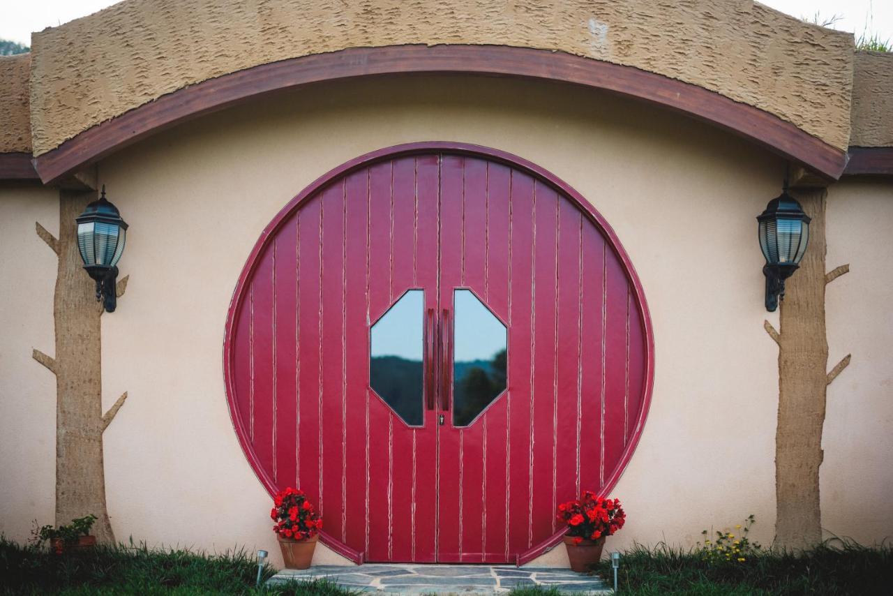 Lodge Mi Tesoro Viveiro