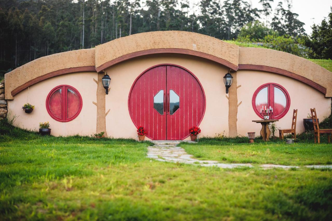 Mi Tesoro Lodge Viveiro