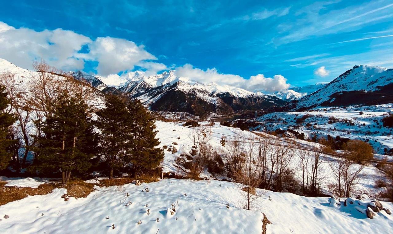 Inmobiliaria - Admite Mascotas Formigal