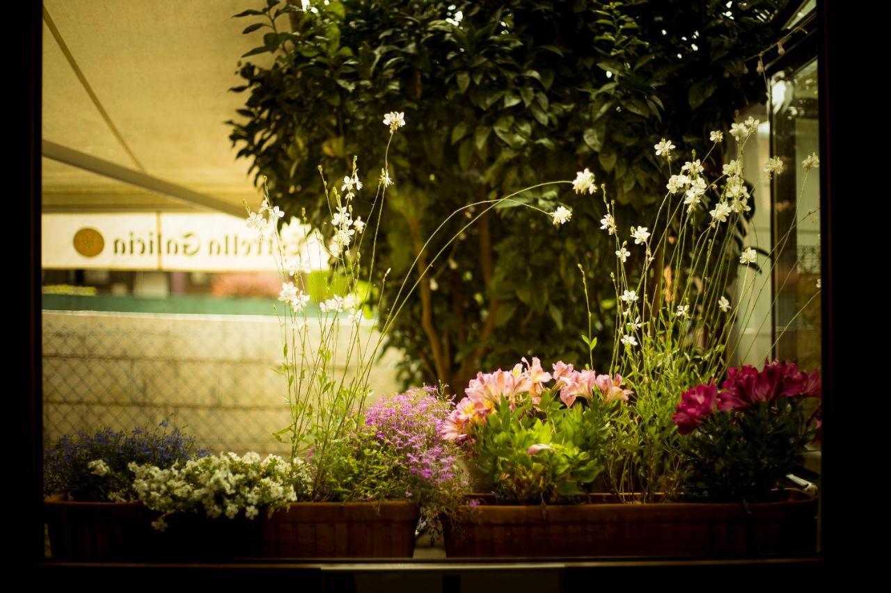 Hotel Arce