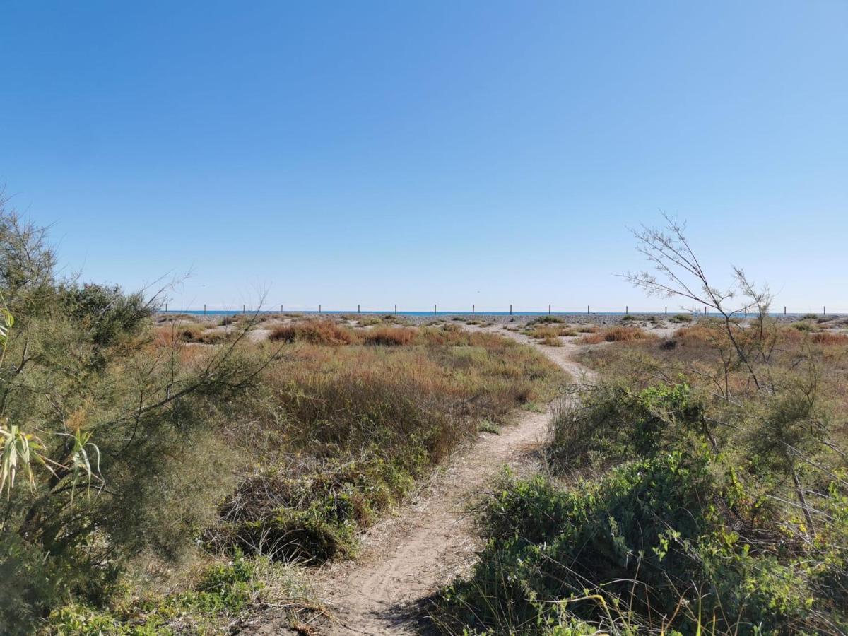 Global Properties, En Marjal De Corinto Con Piscina Sagunto