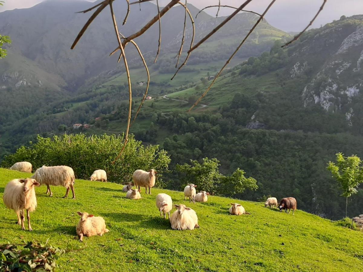 Rural El Rexacu 2*