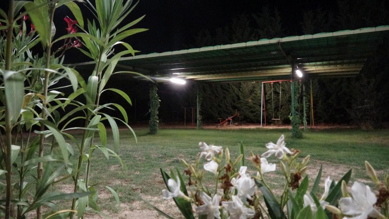 Entrevinedos De Bodegas Marcos Holiday home *