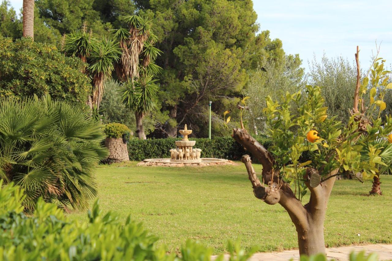 Sunrise Estudio Zebra, Con Vistas Jardin Y Mar