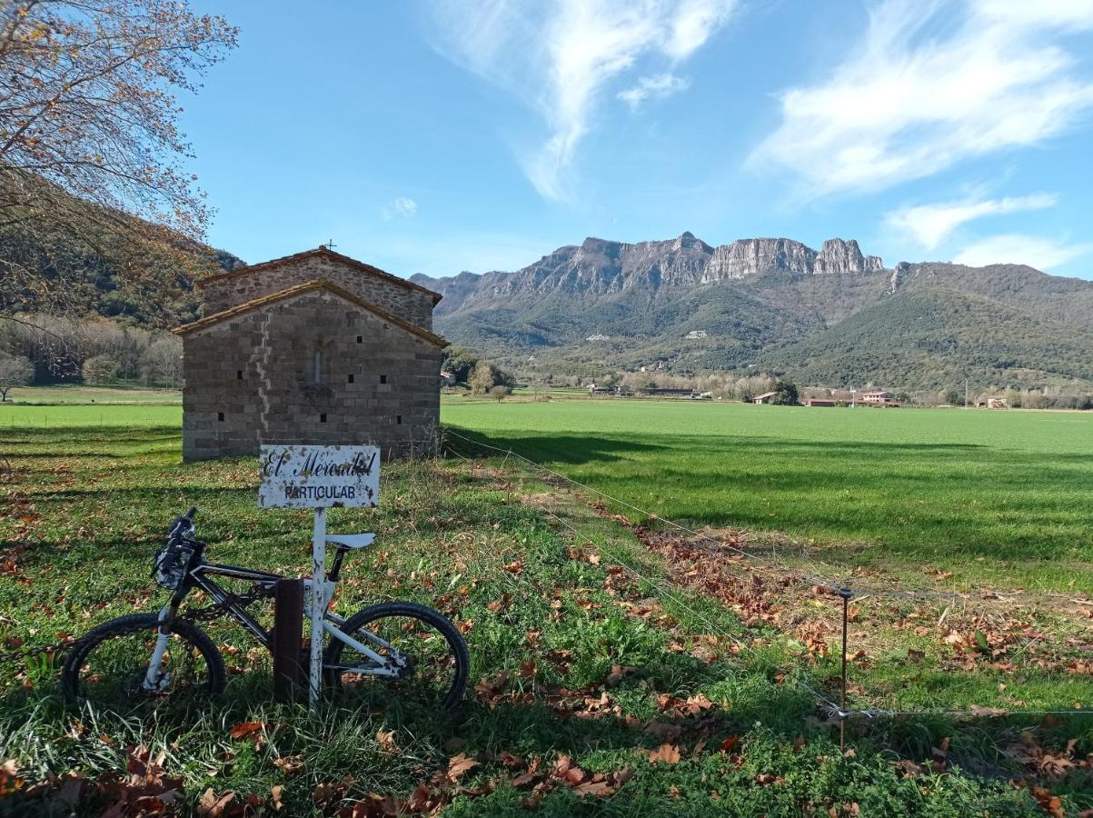 Mas Violella Rural