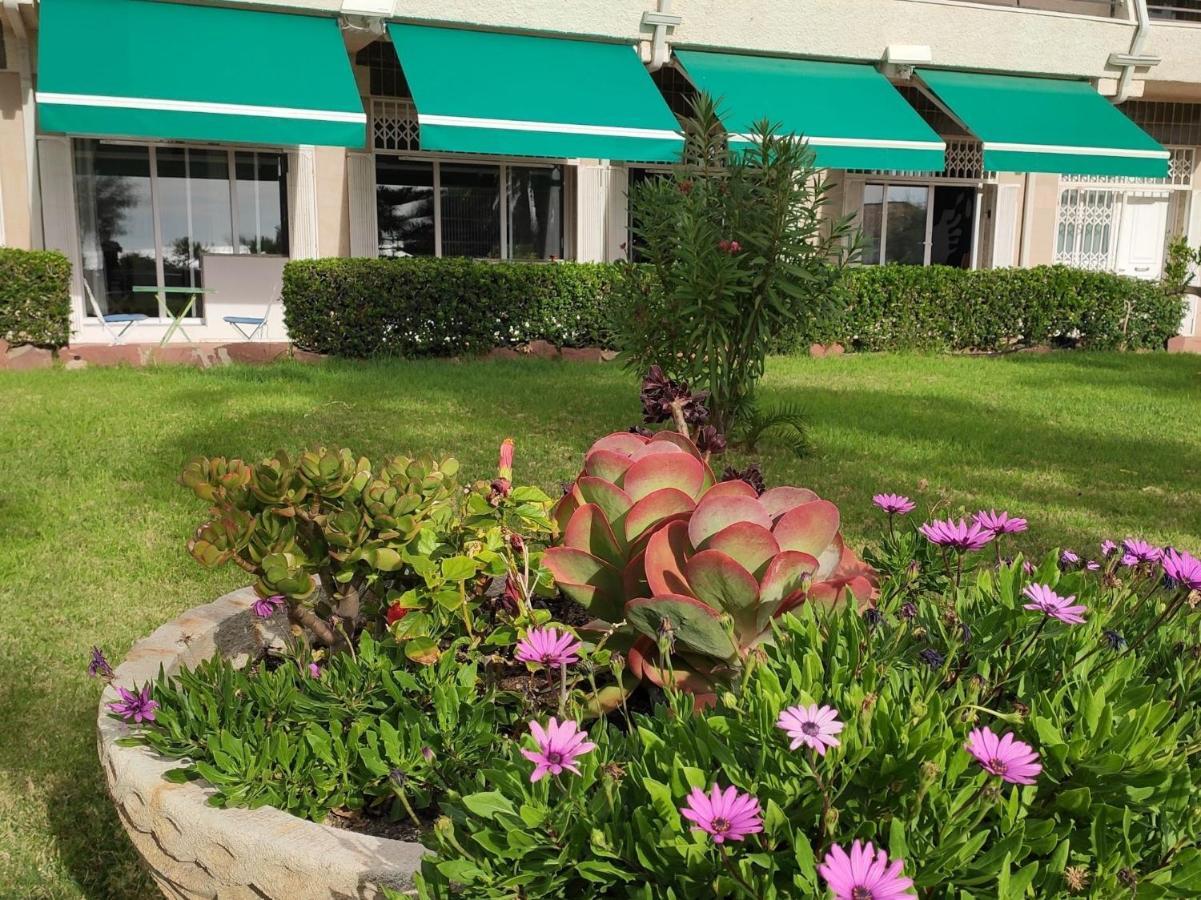Sunrise Estudio Zebra, Con Vistas Jardin Y Mar Apartment