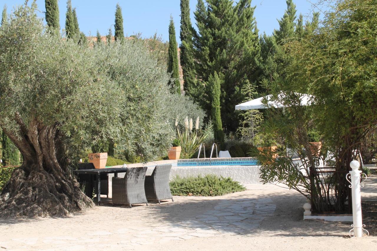 Mofletes - Adults Only Bed & Breakfast