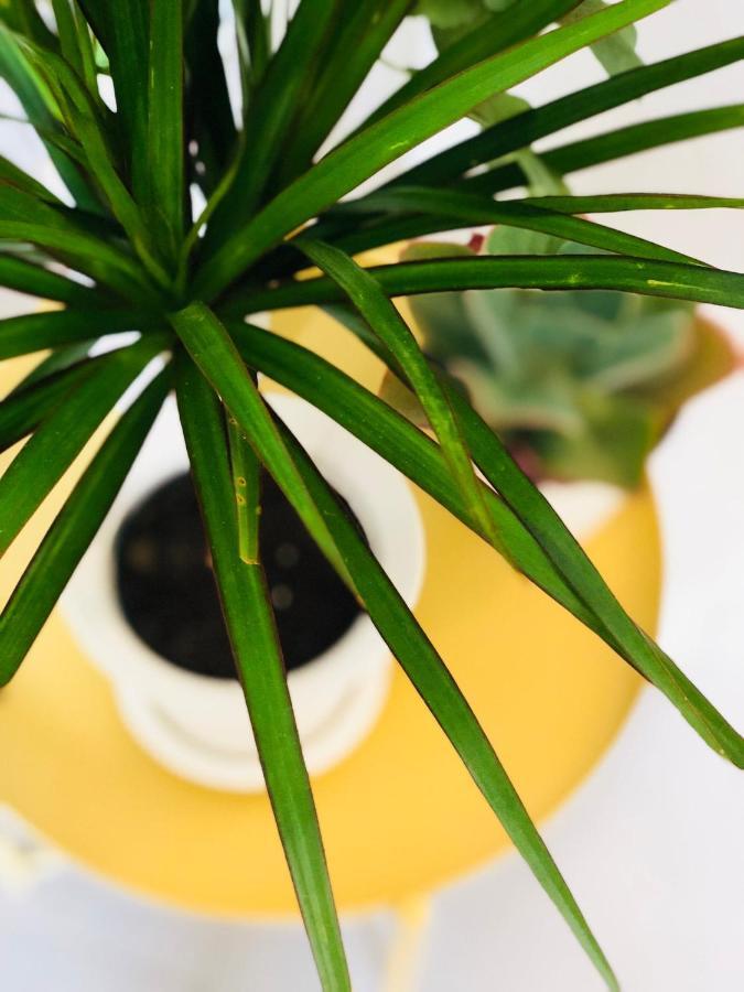 Cuarto Botánico Сasa de vacaciones