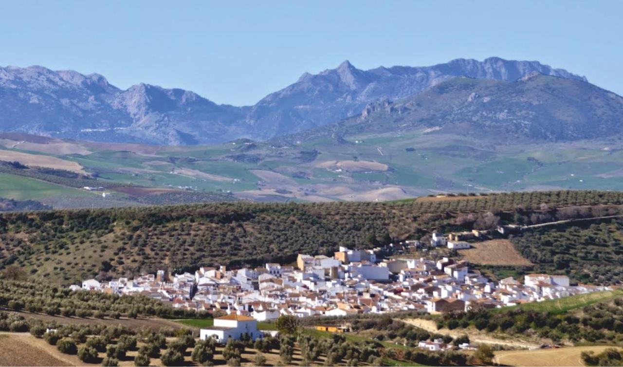 Molino Alcala del Valle