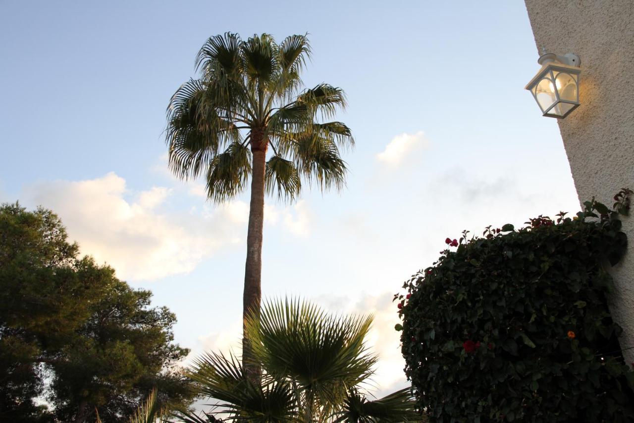 La Baliza Javea