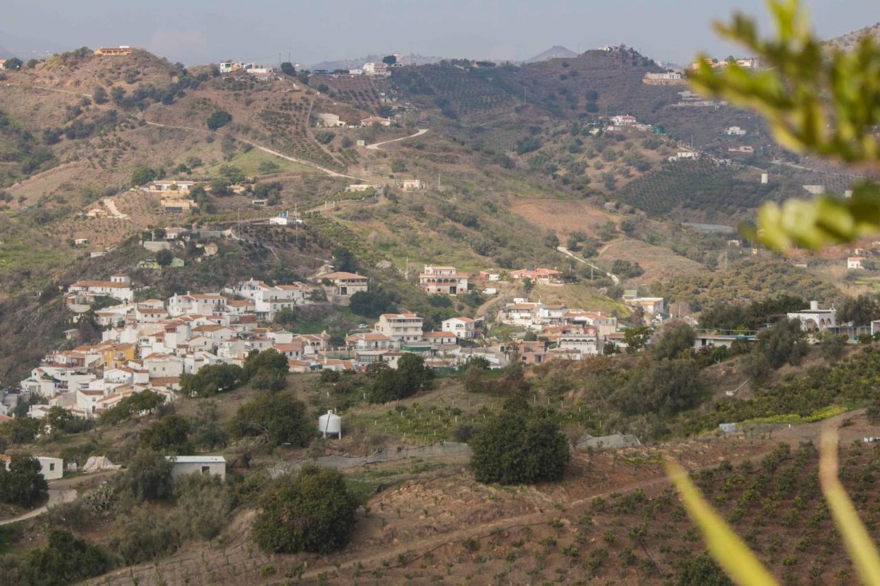 Bed & Breakfast La Vida Tranquila Velez Malaga