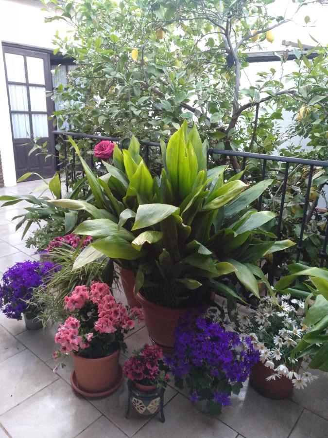 Bed & Breakfast El Patio Andalu Ardales
