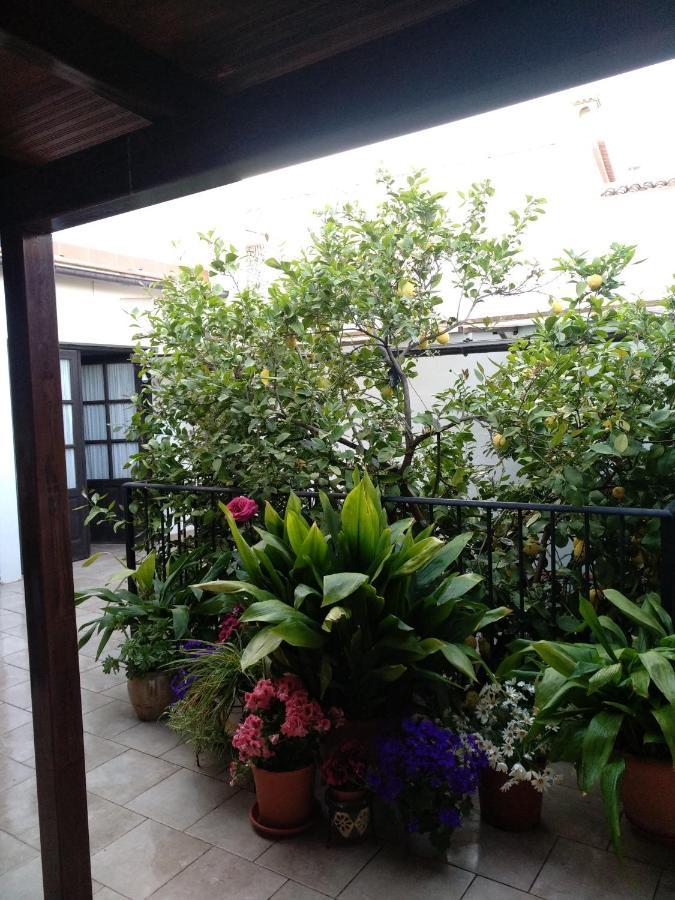 Bed & Breakfast El Patio Andalu Ardales