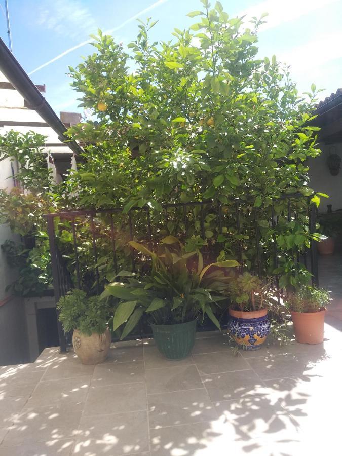 El Patio Andalu Bed & Breakfast